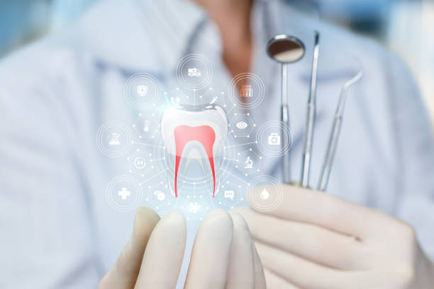  Shannon, MS Holistic Dental Services Pros